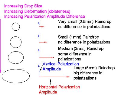 raindrop diagram